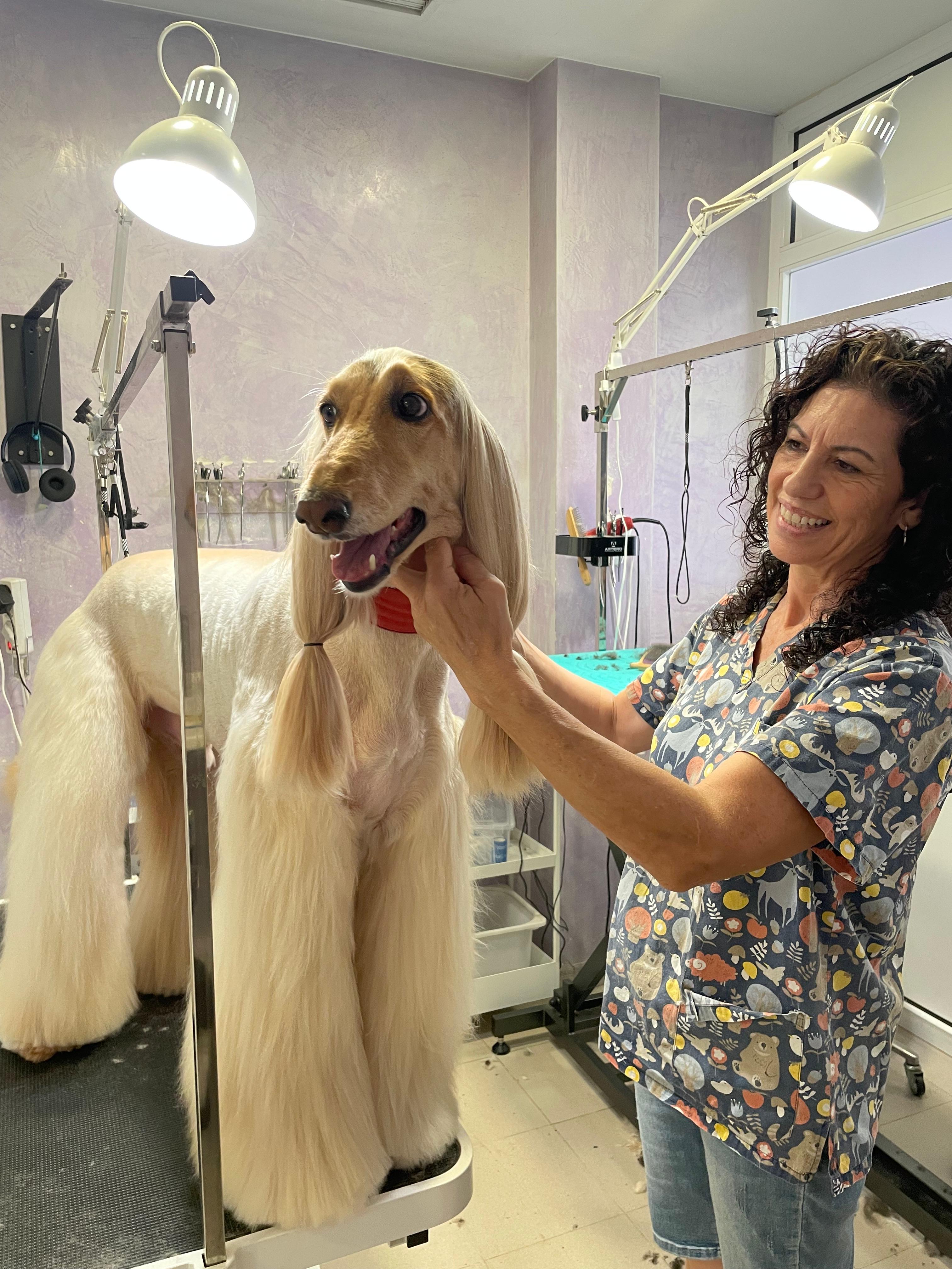 Can Nora - Peluquería canina profesional en Inca
